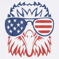 Patriotic Eagle 4th Of July Usa American Flag Patriotic Eagle Tees 4th Of July Women's V-Neck T-Shirt