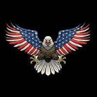 PATRIOTIC EAGLE 4th Of July USA American Flag Proud Cooling Performance Crew T-Shirt