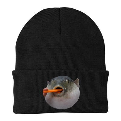 Pufferfish Eating A Carrot Meme Funny Blowfish Dank Memes Gift Beanie