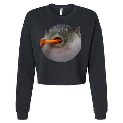 Pufferfish Eating A Carrot Meme Funny Blowfish Dank Memes Gift Cropped Pullover Crew