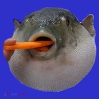 Pufferfish Eating A Carrot Meme Funny Blowfish Dank Memes Gift Premium T-Shirt