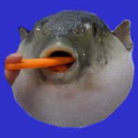 Pufferfish Eating A Carrot Meme Funny Blowfish Dank Memes Gift Zip Tote Bag