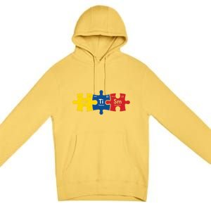 Periodic Elet Autism Puzzle Autism Awareness Gift Premium Pullover Hoodie