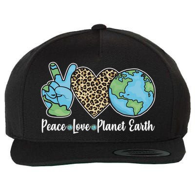 Peace Love Planet Earth Celebrate Earth Day Wool Snapback Cap