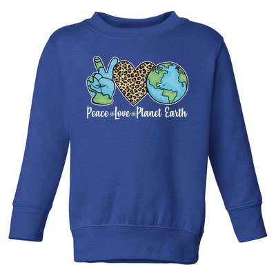 Peace Love Planet Earth Celebrate Earth Day Toddler Sweatshirt