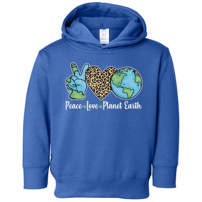 Peace Love Planet Earth Celebrate Earth Day Toddler Hoodie