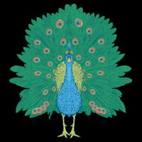 Peacock Bird Impact Tech Backpack