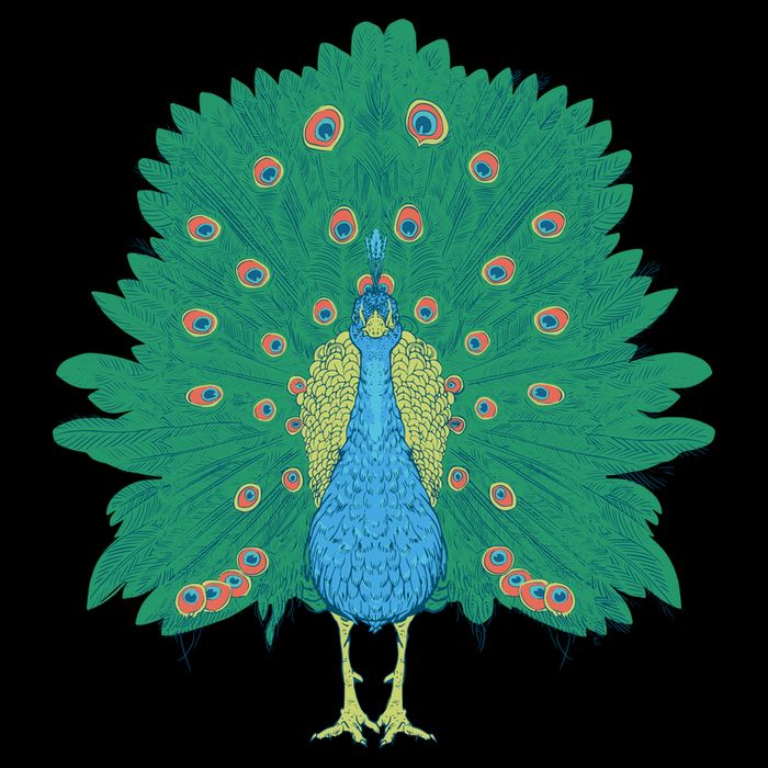 Peacock Bird Impact Tech Backpack