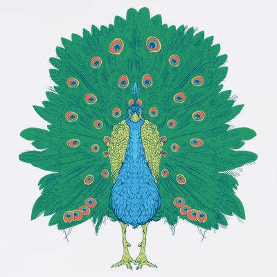 Peacock Bird T-Shirt