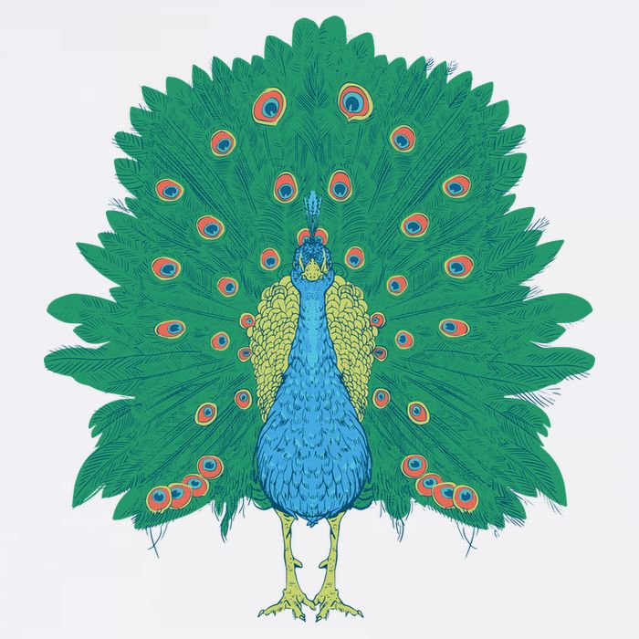 Peacock Bird Golf Towel