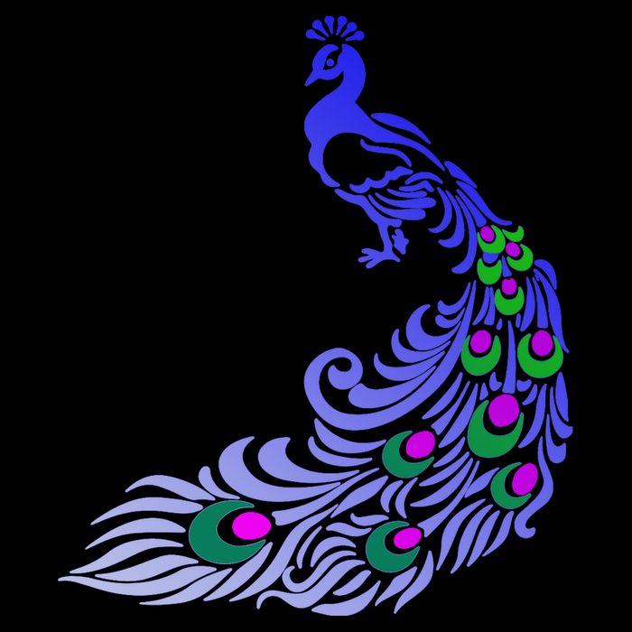 Peacock Colorful Illustration Kids T-Shirt