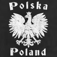 Polish Eagle Coat Of Arms Of Poland Polska 11oz C Handle Ceramic Mug