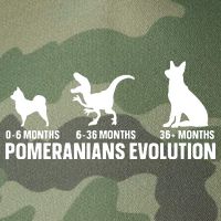 Pomeranians Evolution Design For A Pomeranian Owner Legacy Tie Dye Trucker Hat