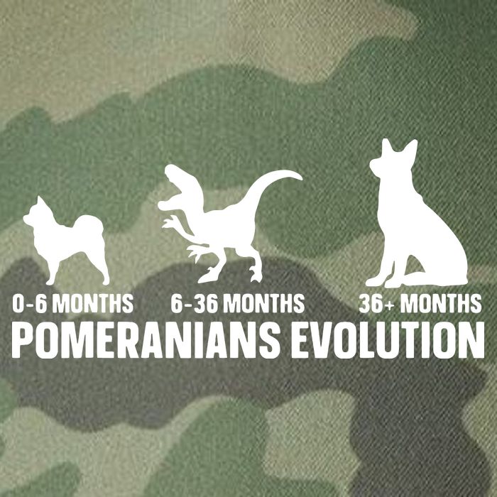 Pomeranians Evolution Design For A Pomeranian Owner Legacy Tie Dye Trucker Hat