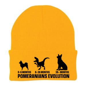 Pomeranians Evolution Design For A Pomeranian Owner Knit Cap Winter Beanie