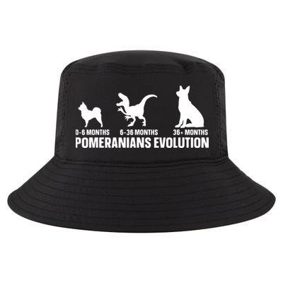 Pomeranians Evolution Design For A Pomeranian Owner Cool Comfort Performance Bucket Hat