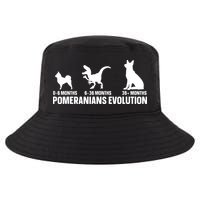Pomeranians Evolution Design For A Pomeranian Owner Cool Comfort Performance Bucket Hat