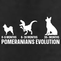 Pomeranians Evolution Design For A Pomeranian Owner Cool Comfort Performance Bucket Hat