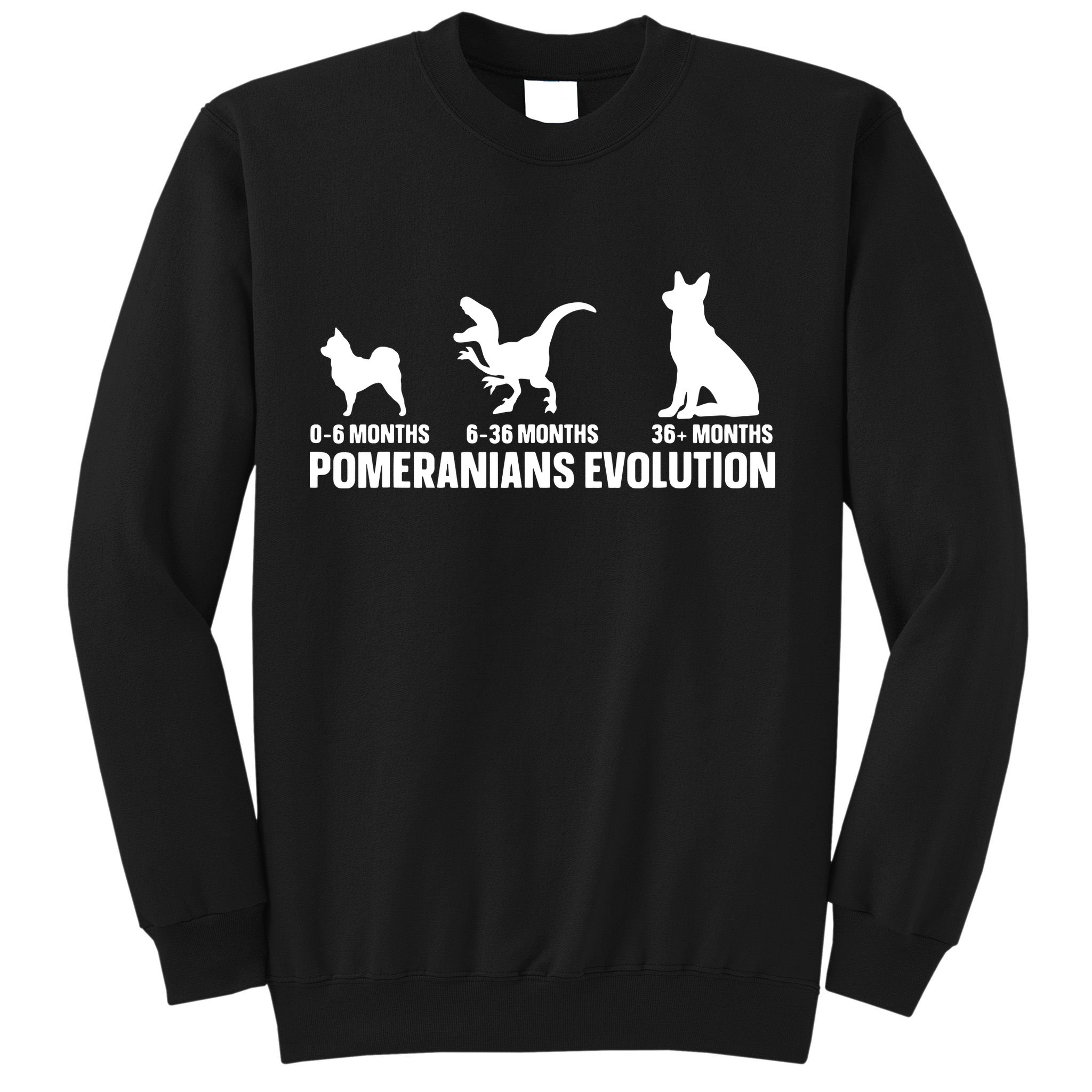 Pomeranians Evolution Design For A Pomeranian Owner Sweatshirt