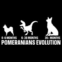 Pomeranians Evolution Design For A Pomeranian Owner Sustainable Bucket Hat