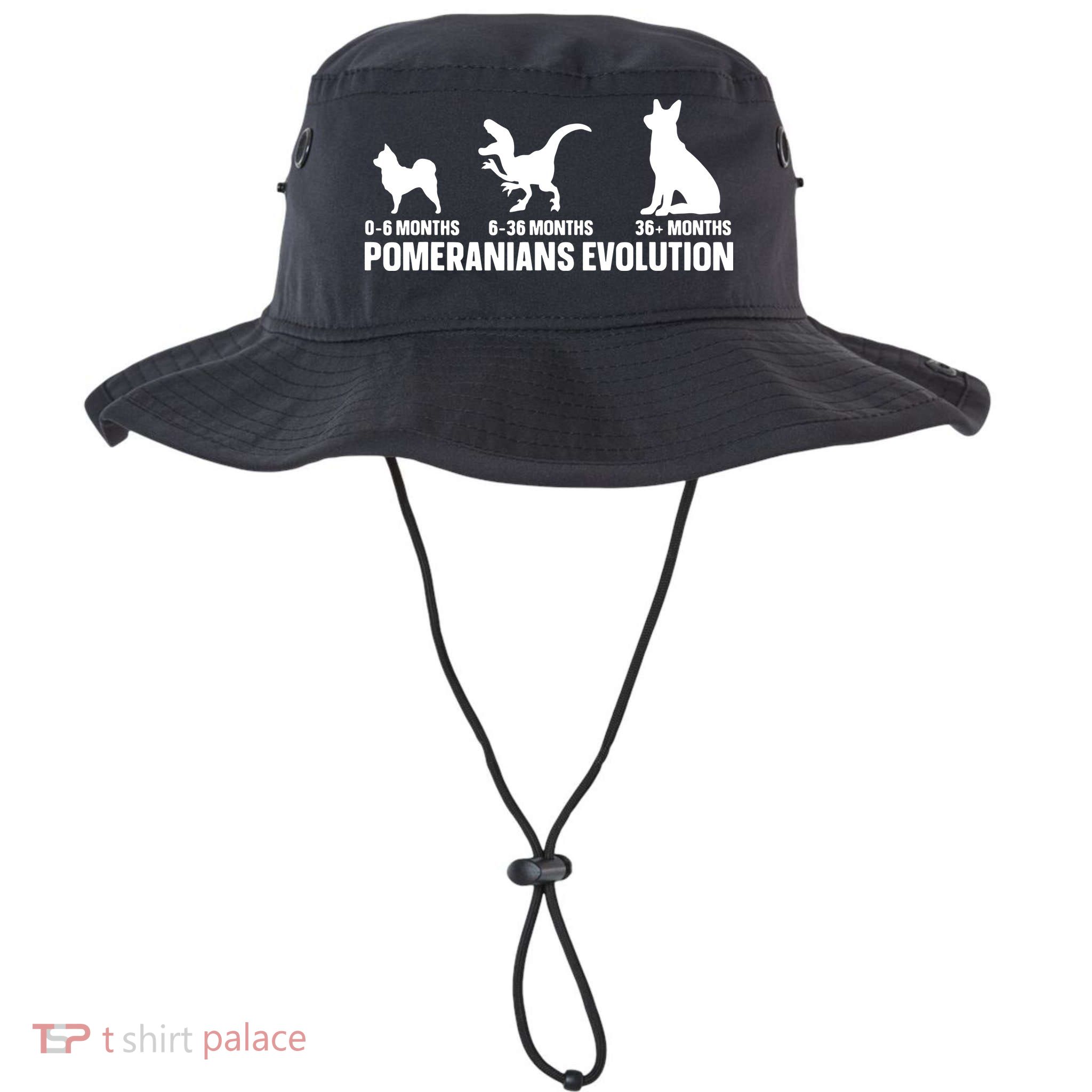 Pomeranians Evolution Design For A Pomeranian Owner Bucket Hat