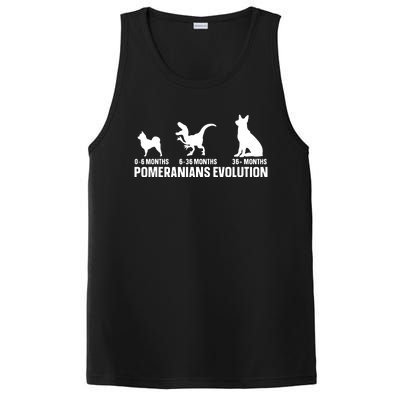 Pomeranians Evolution Design For A Pomeranian Owner PosiCharge Competitor Tank