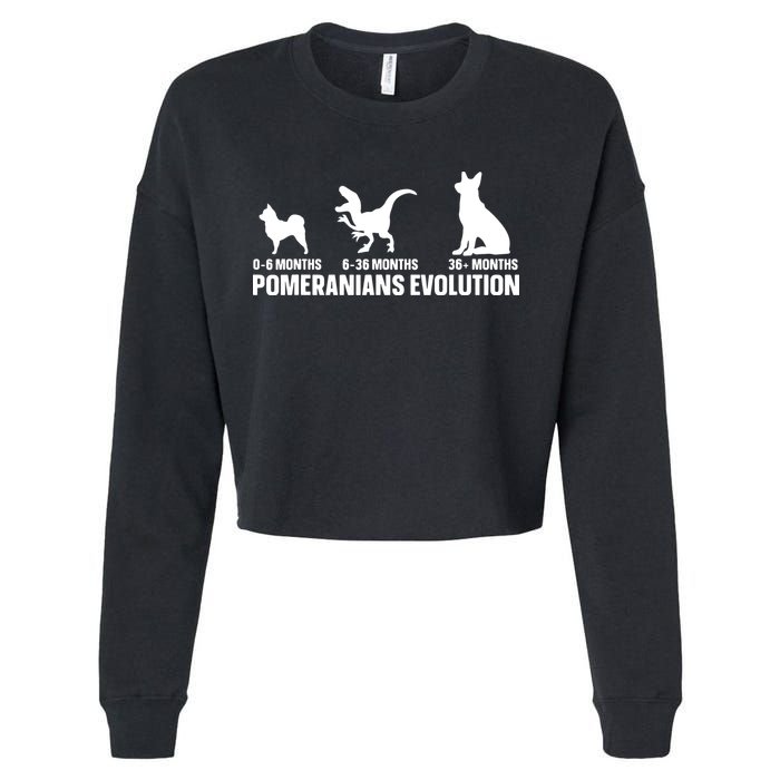 Pomeranians Evolution Design For A Pomeranian Owner Cropped Pullover Crew