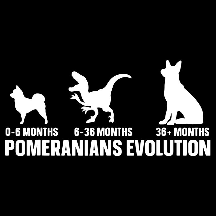 Pomeranians Evolution Design For A Pomeranian Owner Cropped Pullover Crew