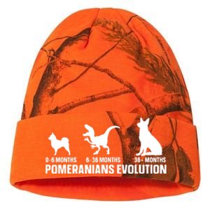 Pomeranians Evolution Design For A Pomeranian Owner Kati Licensed 12" Camo Beanie