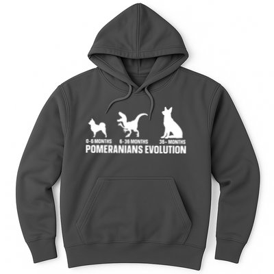 Pomeranians Evolution Design For A Pomeranian Owner Hoodie
