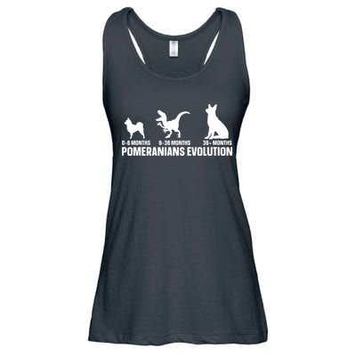 Pomeranians Evolution Design For A Pomeranian Owner Ladies Essential Flowy Tank