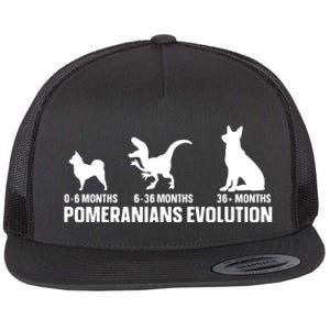 Pomeranians Evolution Design For A Pomeranian Owner Flat Bill Trucker Hat