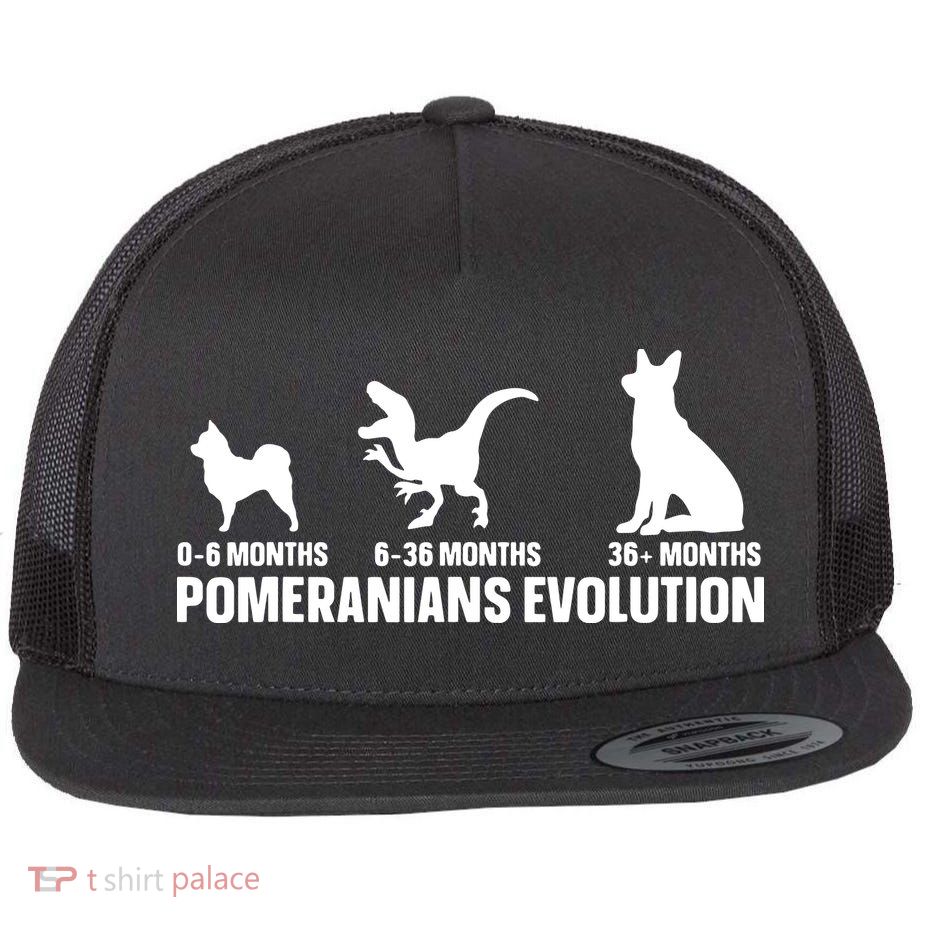 Pomeranians Evolution Design For A Pomeranian Owner Flatbill Hat