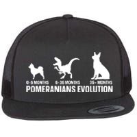 Pomeranians Evolution Design For A Pomeranian Owner Flat Bill Trucker Hat