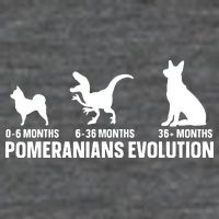 Pomeranians Evolution Design For A Pomeranian Owner Flat Bill Trucker Hat