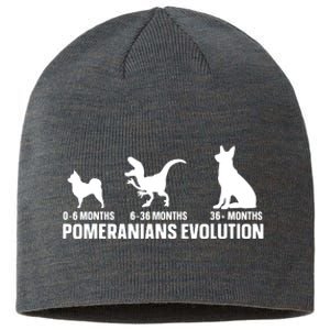 Pomeranians Evolution Design For A Pomeranian Owner Sustainable Beanie