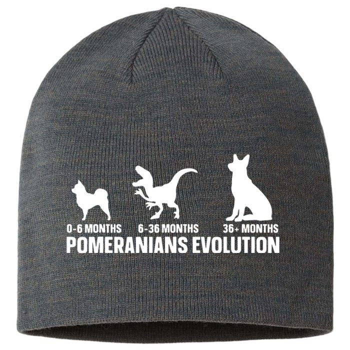 Pomeranians Evolution Design For A Pomeranian Owner Sustainable Beanie