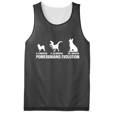 Pomeranians Evolution Design For A Pomeranian Owner Mesh Reversible Basketball Jersey Tank