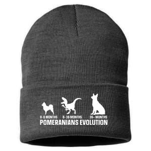 Pomeranians Evolution Design For A Pomeranian Owner Sustainable Knit Beanie