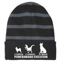 Pomeranians Evolution Design For A Pomeranian Owner Striped Beanie with Solid Band