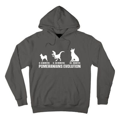 Pomeranians Evolution Design For A Pomeranian Owner Tall Hoodie