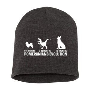 Pomeranians Evolution Design For A Pomeranian Owner Short Acrylic Beanie