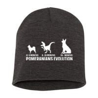 Pomeranians Evolution Design For A Pomeranian Owner Short Acrylic Beanie