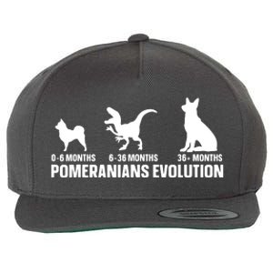 Pomeranians Evolution Design For A Pomeranian Owner Wool Snapback Cap