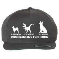 Pomeranians Evolution Design For A Pomeranian Owner Wool Snapback Cap