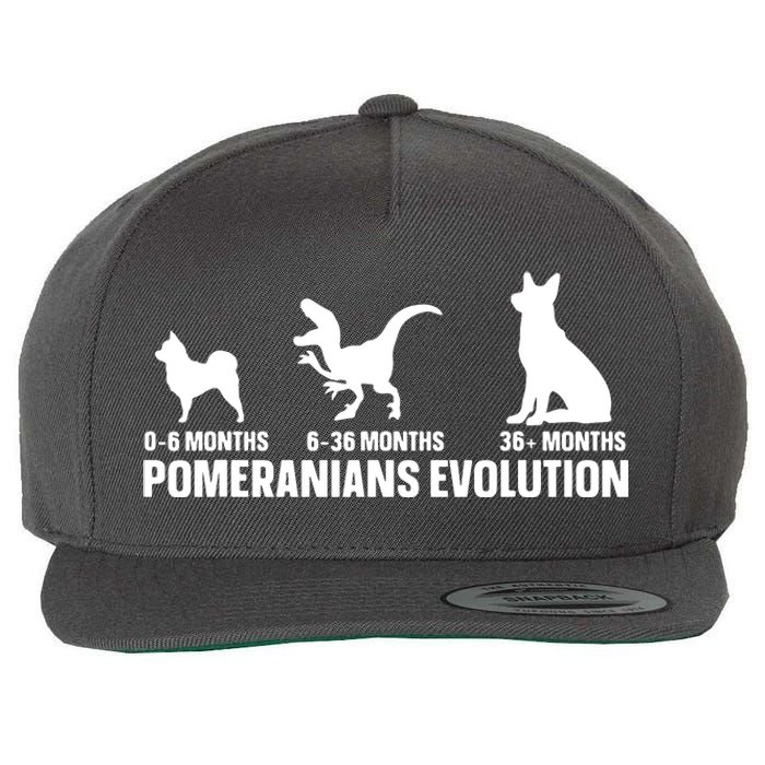 Pomeranians Evolution Design For A Pomeranian Owner Wool Snapback Cap