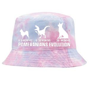 Pomeranians Evolution Design For A Pomeranian Owner Tie-Dyed Bucket Hat