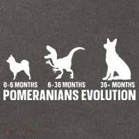 Pomeranians Evolution Design For A Pomeranian Owner Cotton Canvas Backpack
