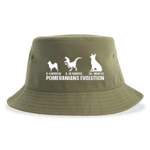 Pomeranians Evolution Design For A Pomeranian Owner Sustainable Bucket Hat