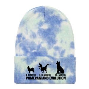 Pomeranians Evolution Design For A Pomeranian Owner Tie Dye 12in Knit Beanie